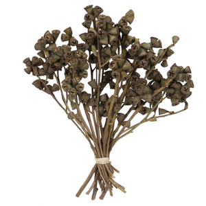 Vickerman H1CNC000 11"x2-4" Conical Gum Branch 20Pc Bunch 