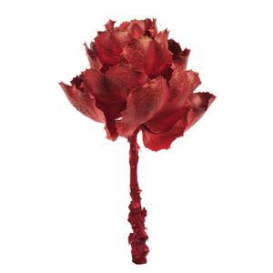 Vickerman H1QUE475 8" Red Queen Flower Stem 
