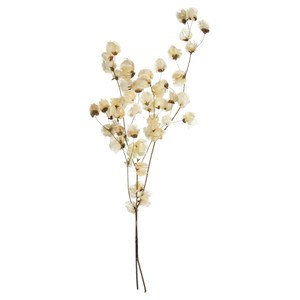 Vickerman H2CAR999 - 24 in. Bleached Cara Blossom Artificial Spray