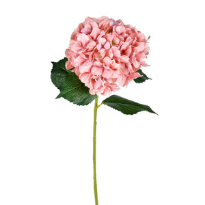 Vickerman FD190479 - 33 in. Pink Hydrangea Artificial Spray - 2 Pack