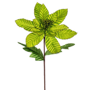 Vickerman RG223173 - 22 in. Lime Velvet Glitter Poinsettia Artificial Spray