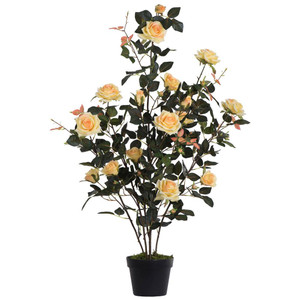 Vickerman TA181779 | 21