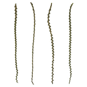 Vickerman H2LXL100 40-48" Basil Ladder Branches 7Pk 