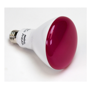 Halco 80988 - BR30 LED Flood Bulb - Pink - 8W Dimmable E26