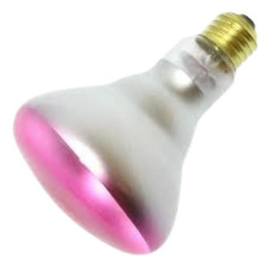 Halco 404031 BR30 Pink Bulged Incandescent Bulb