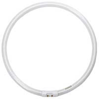Halco 109086 - FC40 T5 12in Circline - 4100K - 40W 2GX13 Base