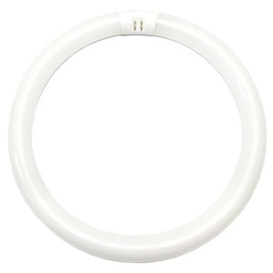 Halco 37507 FC12 T9 Circleline Fluorescent