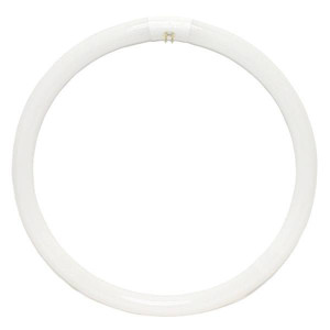 Halco 37510 FC16 T9 Circleline Fluorescent