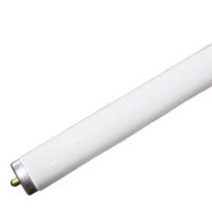 Halco 248302 F48 T12 Tube Fluorescent