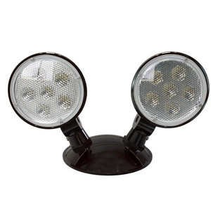 Halco 97119 - Double Remote Outdoor LED Head - Black - Wet Location Rated 