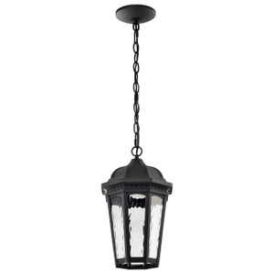 Satco 62-5944 - East River 1-Light Outdoor Pendant - CCT Selectable - Smart RGBTW 