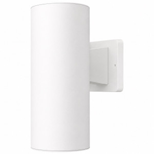 Dark Sky LED Outdoor Wall Light Fixture - White Finish - 3000K 