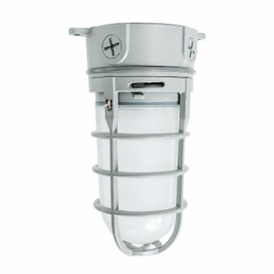 Topaz L17VP06G - Gray LED Vaportight Ceiling Mount - 4000K