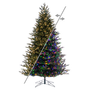 Vickerman G230868LEDCC - 6.5 ft Washington Fraser Fir Prelit Color Changing LED Christmas Tree