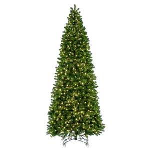 Vickerman G237491LED - 12 ft Deluxe Sequoia Slim Pine Prelit Warm White LED Christmas Tree