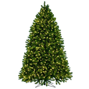 Vickerman G237576LED - 7.5 ft Deluxe Sequoia Pine Prelit Warm White LED Christmas Tree