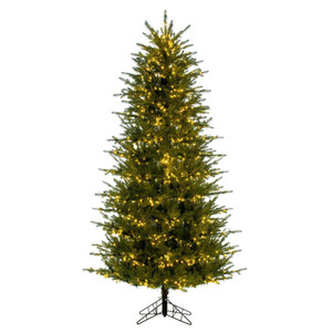 Vickerman K230566LED - 6.5 ft Georgian Fraser Fir Prelit Warm White LED Christmas Tree