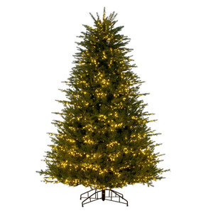 Vickerman K230766LED - 6.5 ft Georgian Fraser Fir Prelit Warm White LED Christmas Tree