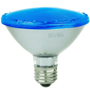  Sunlite 80021-SU PAR30/LED/4W/B LED Flood Lamp 