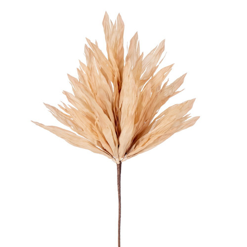 Vickerman FQ236524 - 24 in. Cream Corn Husk Artificial Spray