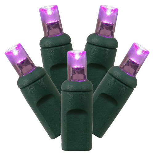 Vickerman X4G6706PBG - 24 ft Purple LED Christmas Light String - 70 Lights - Green Wire