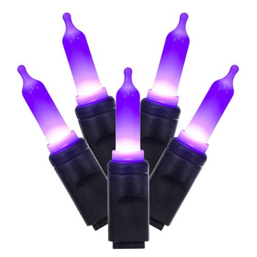 Vickerman X4K7557F - 16 ft Purple LED T5 Italian Christmas Light String - 50 Lights
