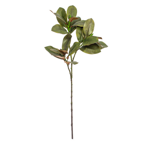 Vickerman FA240735 - 35 in. Green Magnolia Branch Artificial Spray - 2 Pack 