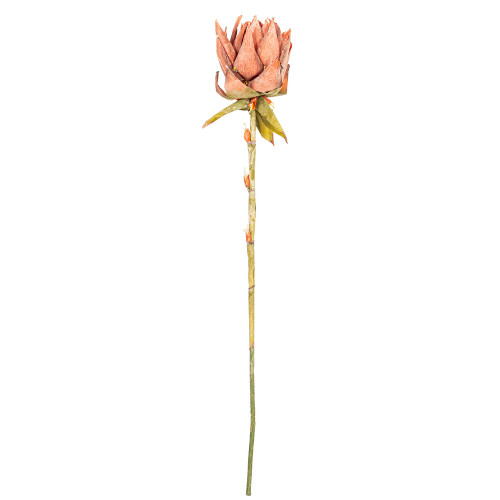 Vickerman FM239737 - 37 in. Red Dried Protea Stem Artificial Spray - 2 Pack