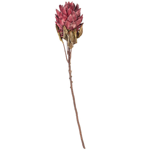 Vickerman FMA230103 - 30.5 in. Light Red Dried Protea Stem Artificial Spray - 2 Pack
