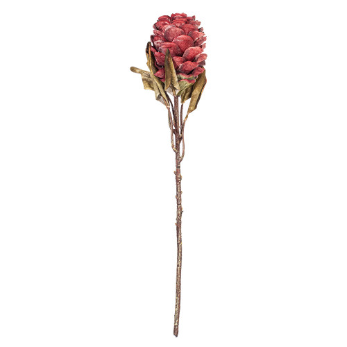 Vickerman FMA230203 - 22 in. Light Red Dried Ginger Stem Artificial Spray - 3 Pack