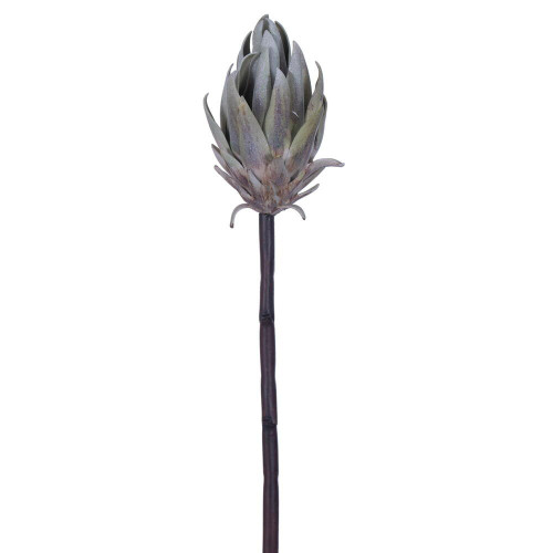 Vickerman FXT235304 - 22 in. Gray/Green Protea Stem Artificial Spray - 2 Pack 
