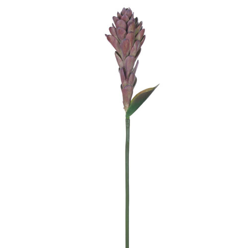 Vickerman FXT239515 - 29 in. Mauve/Green Siam Tulip Artificial Spray - 2 Pack 