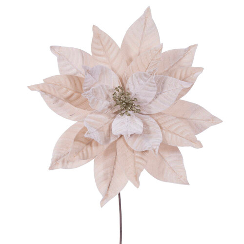 Vickerman RG233138 - 21.5 in. Champagne Poinsettia Flower Artificial Spray - 2 Pack