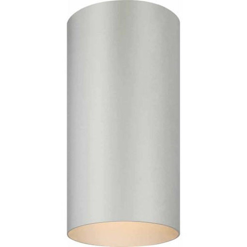 Volume Lighting V9616-20 - Silver Gray Outdoor Cylinder Ceiling Light