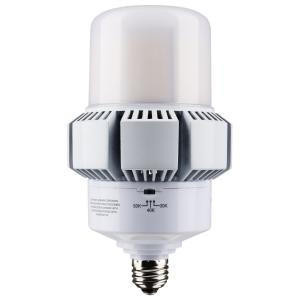 Satco S13166 65W/AP37/LED/CCT/100-277V/E26