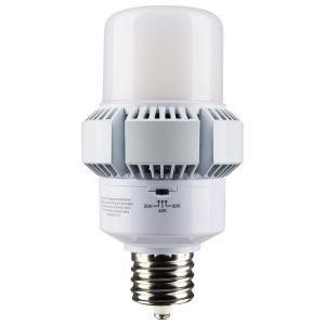 Satco S13165 45W/AP32/LED/CCT/100-277V/EX39