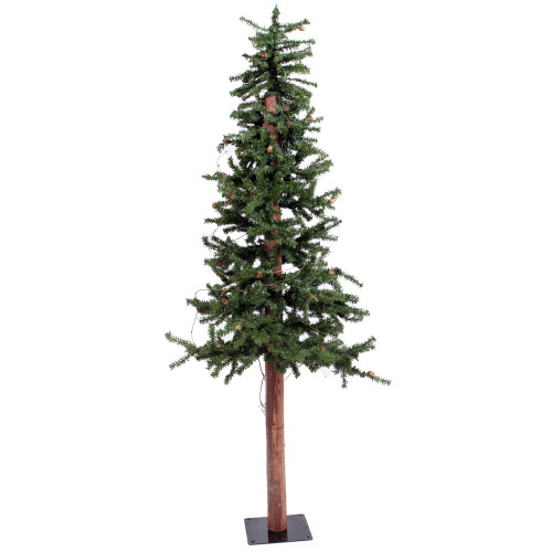 Vickerman A807250 - 5 ft Alpine with Pine Cones & Vine Unlit Christmas Tree