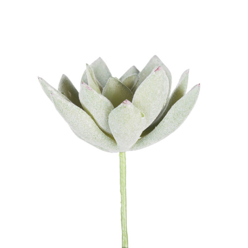 Vickerman FE170601-6 4" Echeveria Pick 6/pk 