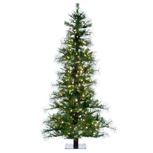 Vickerman A807561LED 6' x 41" Ashland LED 400WW