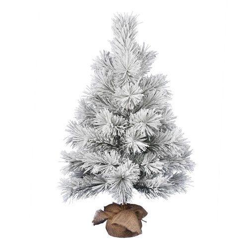 Vickerman D190830 36" Frosted Beckett Pine Tree 54Tips