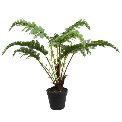 Vickerman FE181601 20" Green Fern in Round Black Pot 