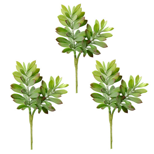 Vickerman FO181701 10" Green Crassula Tetragona Pick 3/Pk 