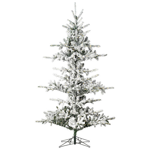 Vickerman G210381LED 9' x 65" Flkd Yukon 4mm LED 1050WW
