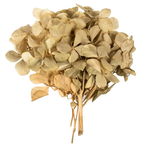  Vickerman H1HYL000 10x3x21" Tray-Natural Hydrangea Pieces 