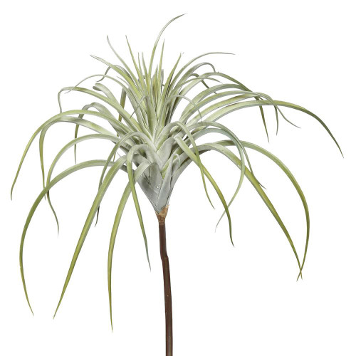  Vickerman FE172101 14" Tillandsia Pick 