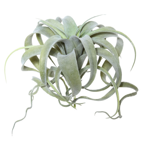 Vickerman FE172301 10.5" Green Tillandsia Pick 