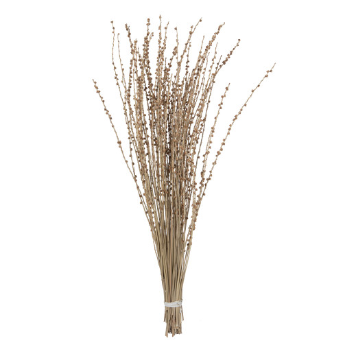 Vickerman H4DEGLET 36-38" Natural Deglet Nour Branch Bundle 
