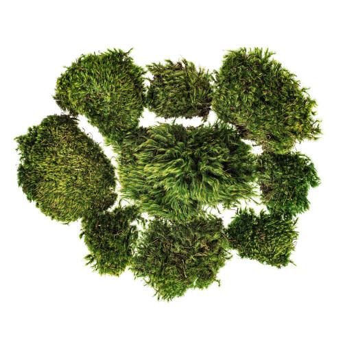  Vickerman H4MMP150 Premium Green Mood Moss Box 2.75 lbs 