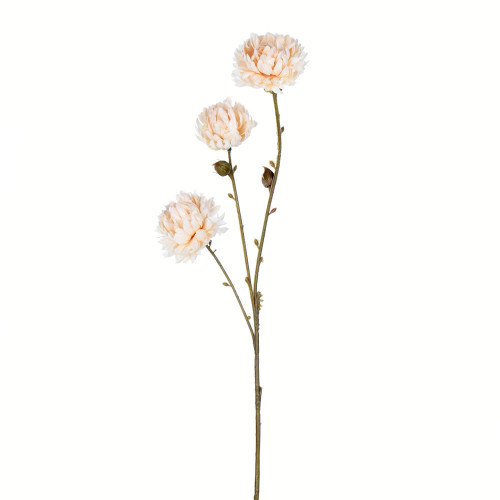 Vickerman FV194602 - 24 in. Ivory Mum Artificial Spray - 4 Pack