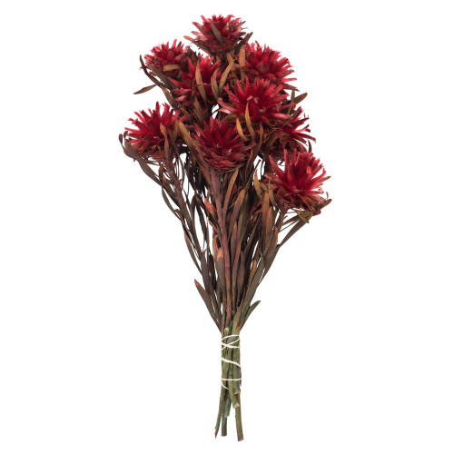 Vickerman H1PMF475 8-20" Red Plumosum Bundle 8 Heads 